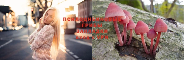 прущие грибы Алексин