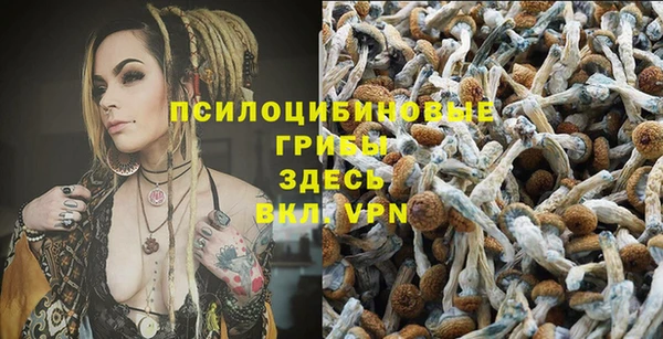 винт Алексеевка