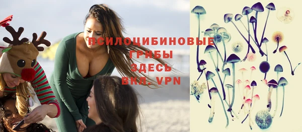 прущие грибы Алексин