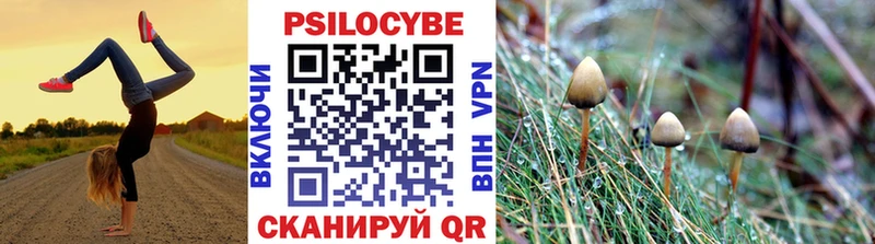 закладка  Ахтырский  Галлюциногенные грибы мицелий 