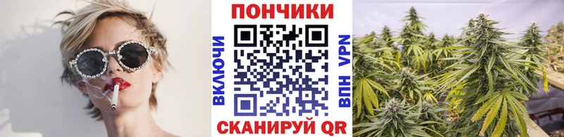 наркошоп  Ахтырский  Конопля ГИДРОПОН 